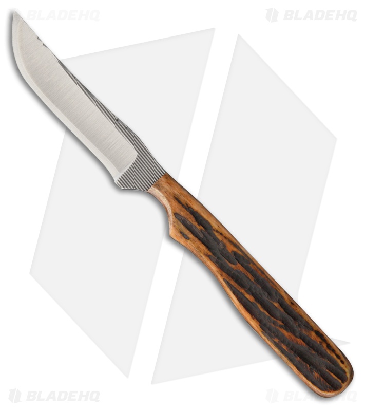 Anza Knives NK-ABJ Fixed Blade Knife Amber Jigged Bone (3.25" Satin)