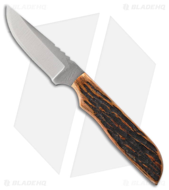 Anza Knives SP-3AJB Fixed Blade Knife Amber Jigged Bone (3.25" Plain)