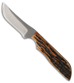 Anza Knives WK-3AJB Fixed Blade Knife Amber Jigged Bone (2.75" Satin)