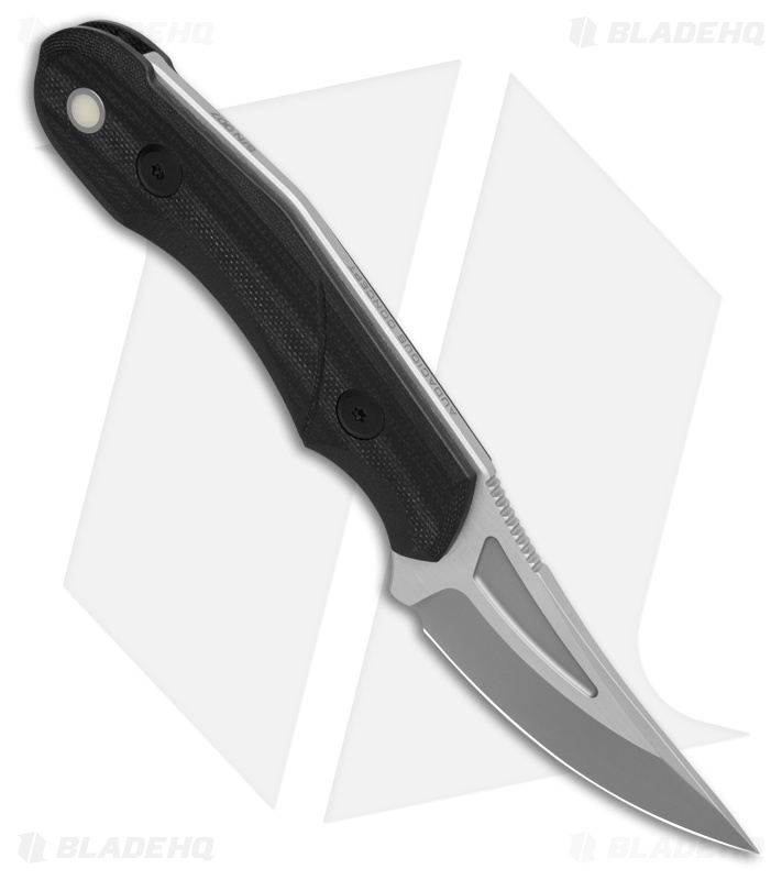 Audacious Concept Fanglet Fixed Blade Knife Black G-10 (2.4" Satin/Blastwash)