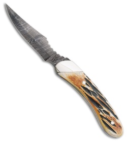 Bear & Son Caper Fixed Blade Knife Genuine India Stag (2.5" Damascus) 5009D