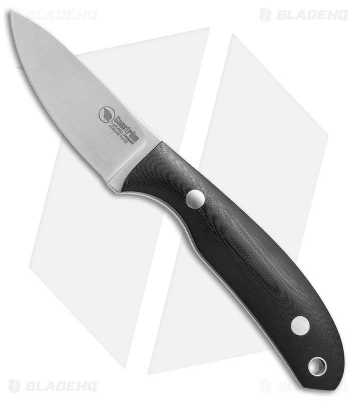 Casstrom Safari Mini Hunter Fixed Blade Knife Black G-10 (2.5" Satin)