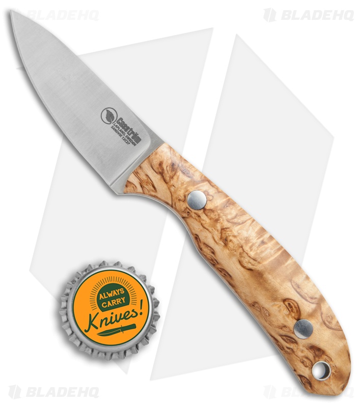 Casstrom Safari Fixed Blade Knife Stabilized Curly Birch (2.5
