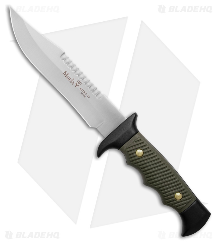 Muela ALCE-5161 Fixed Blade Knife Green ABS (6.2" Satin Sawtooth Spine)