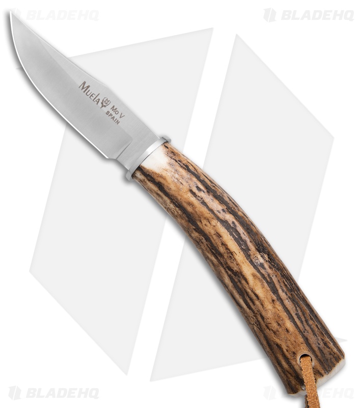 Muela BW-6A Fixed Blade Knife | Stag | Satin