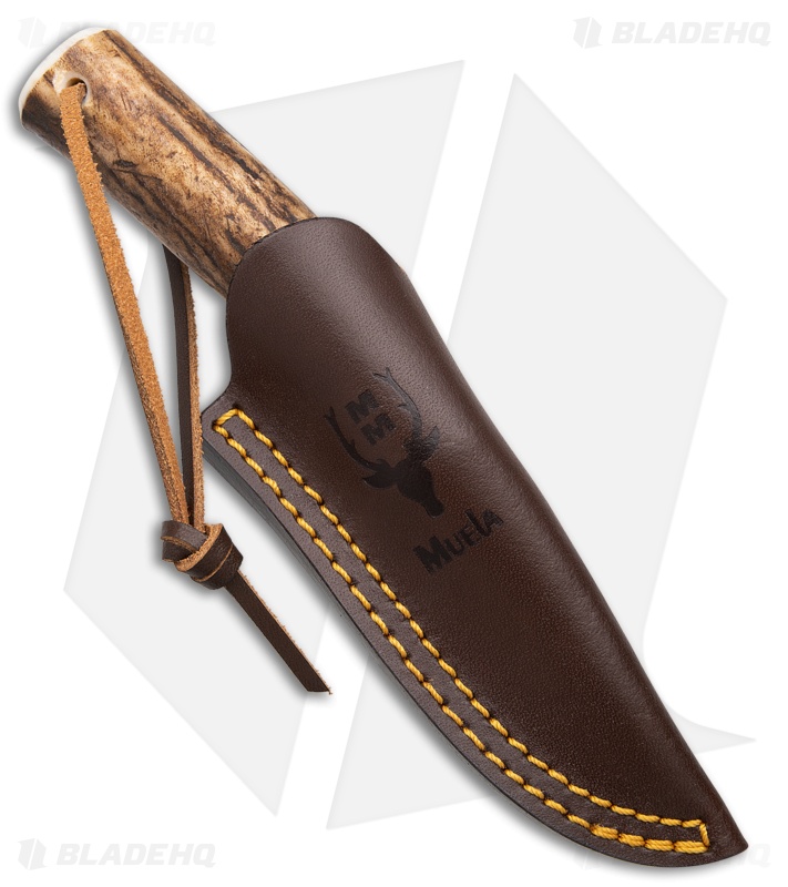 Muela BW-6A Fixed Blade Knife | Stag | Satin