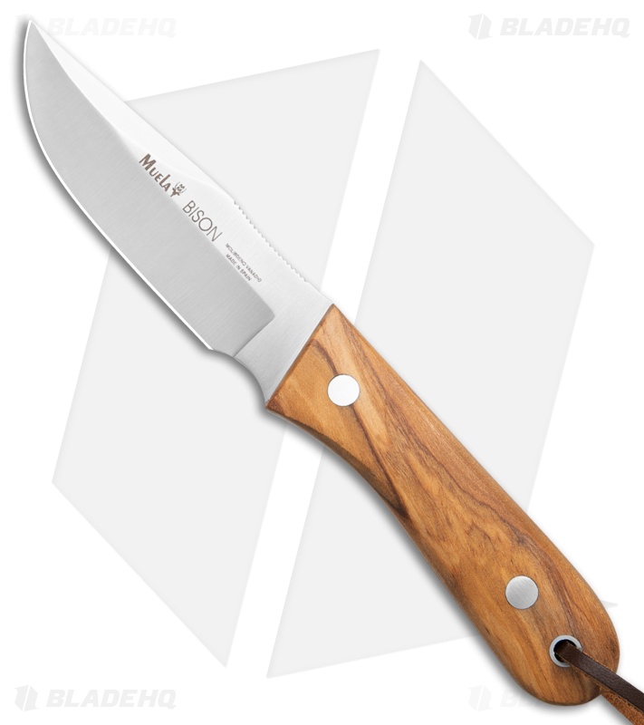 Muela Bison Olive Fixed Blade Knife | Olive Wood | Satin