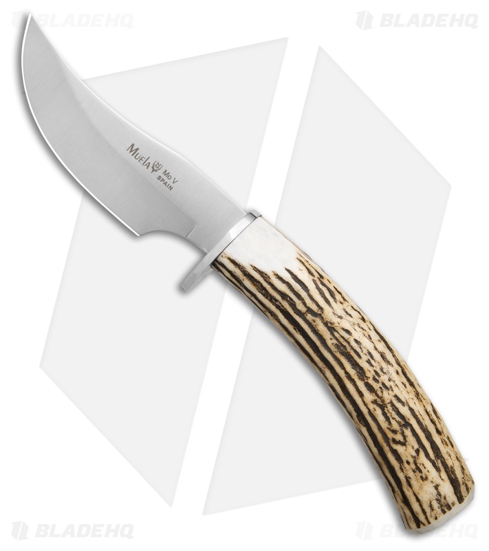 Muela DP-10A Fixed Blade Knife | Stag