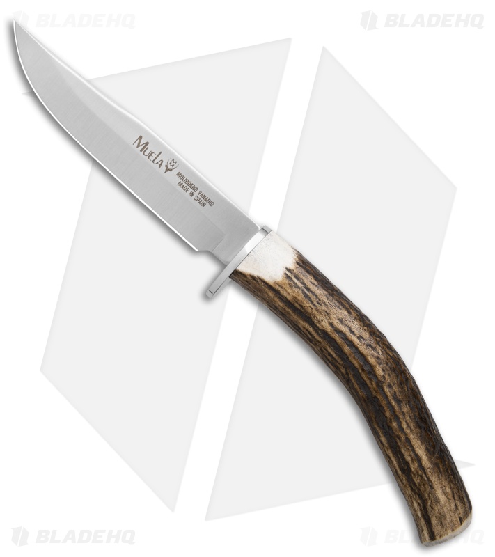 ○K732○K675○【マイマイ1385です。】 Muela Gred-12A Fixed Blade Knife | Ram Horn