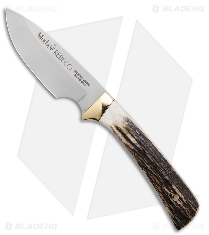 Muela Rebeco Fixed Blade Knife Stag (3.5" Satin)