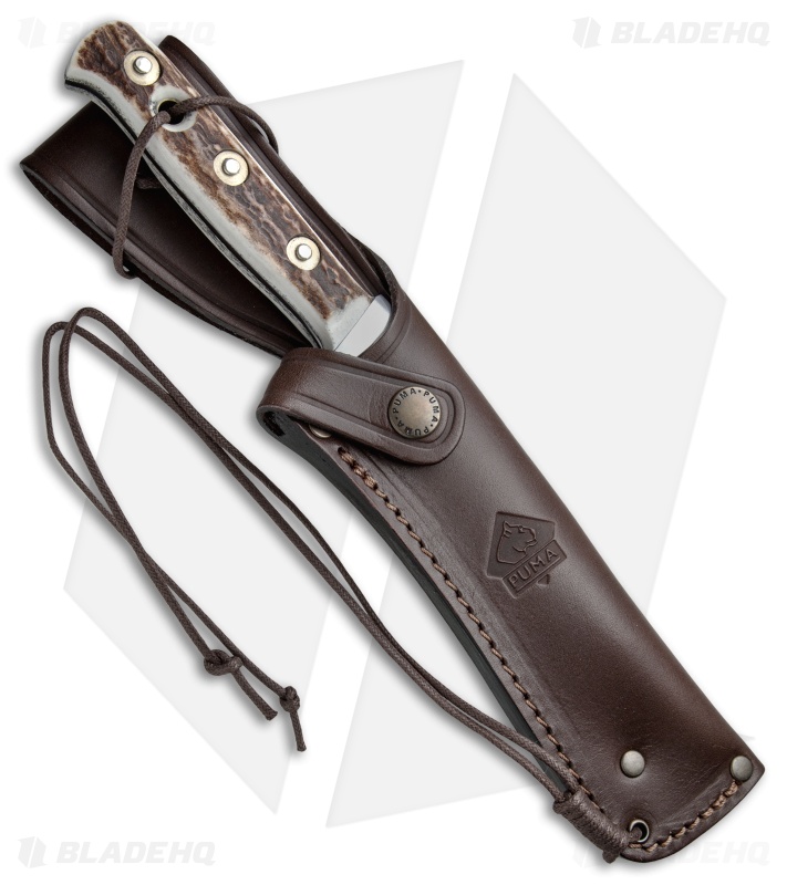 3個セット Puma Bowie Fixed Blade Knife Stag Horn (6.5