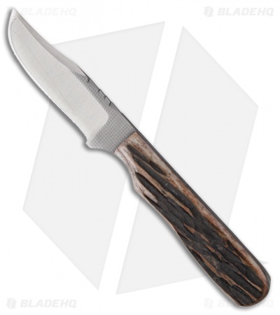 Anza Knives 23-AJB Fixed Blade Burnt Amber Bone (2.75" Satin) 