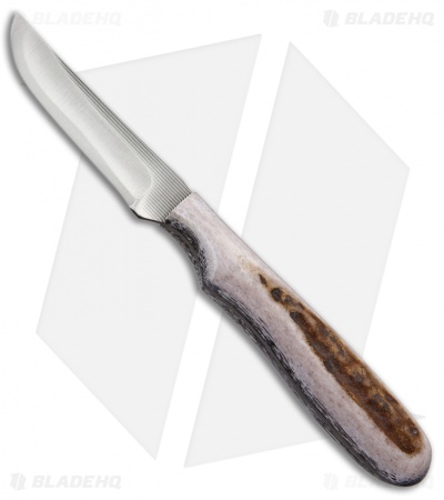 Anza Knives F1-FE Fixed Blade Knife Elk Bone (2.50" Satin)