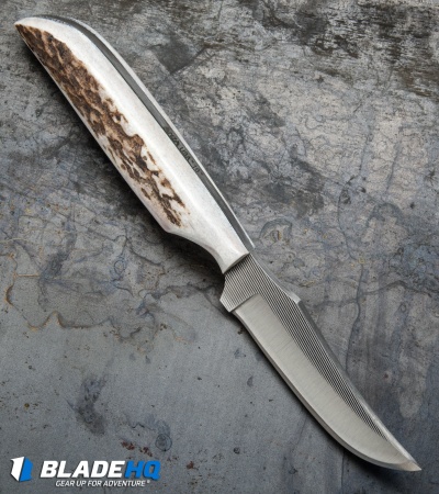 Anza Knives SP2-FE Fixed Blade Knife Stag Horn (3.25" Satin)