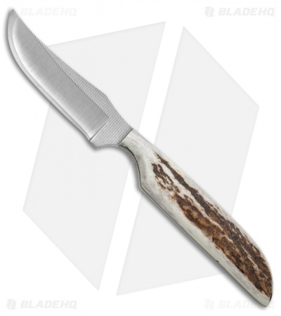 Anza Knives SP2-FE Fixed Blade Knife Stag Horn (3.25" Satin)