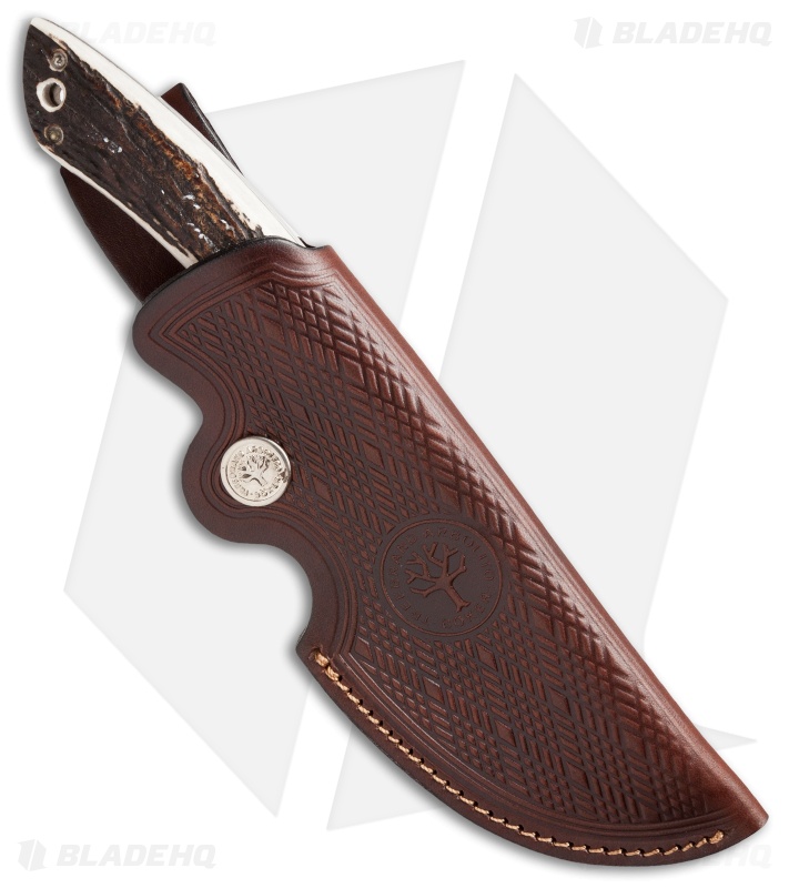 Boker Arbolito Gut Hook Fixed Blade Knife Stag Horn (4.25" Satin)