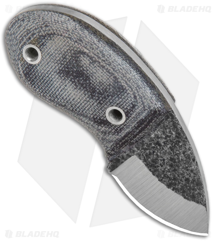 Condor Tortuga Neck Knife Fixed Blade Gray Mcarta (1.4" Black)