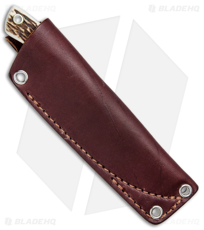LT Wright Small Swoop Trailing Point Fixed Blade Knife Stag (3.25" Satin)