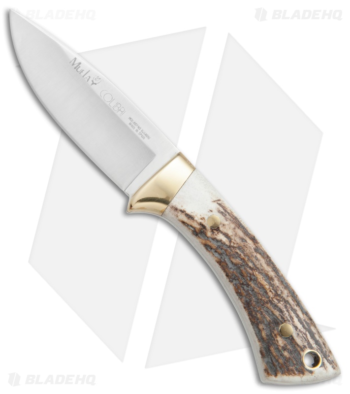 Muela Colibri Fixed Blade Knife Stag Horn (2.75
