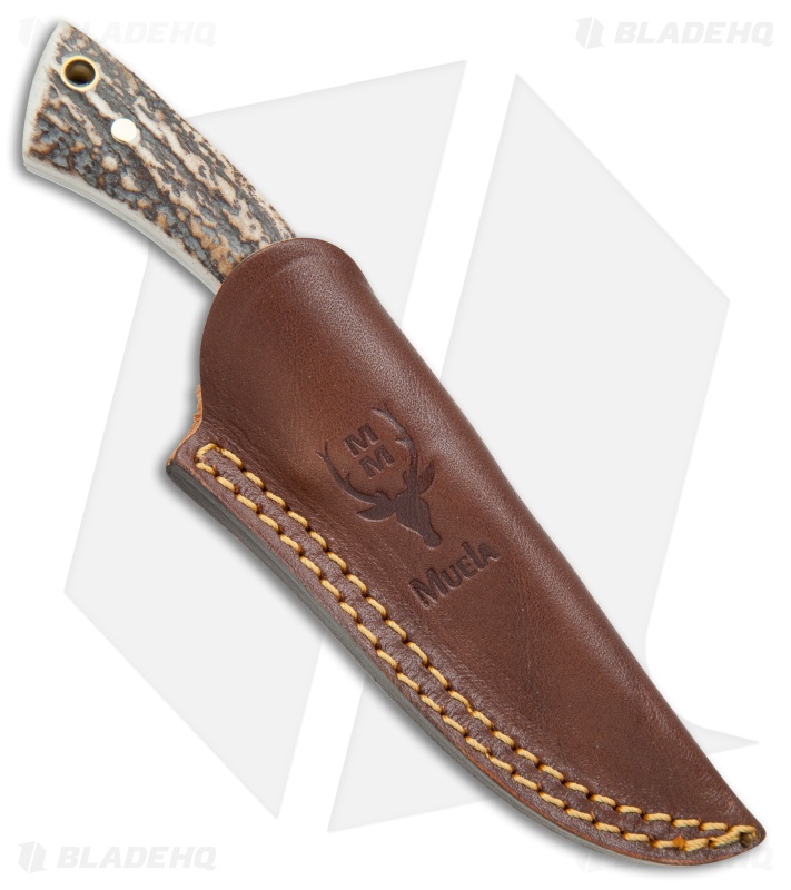 Muela Colibri Fixed Blade Knife Stag Horn (2.75" Satin)