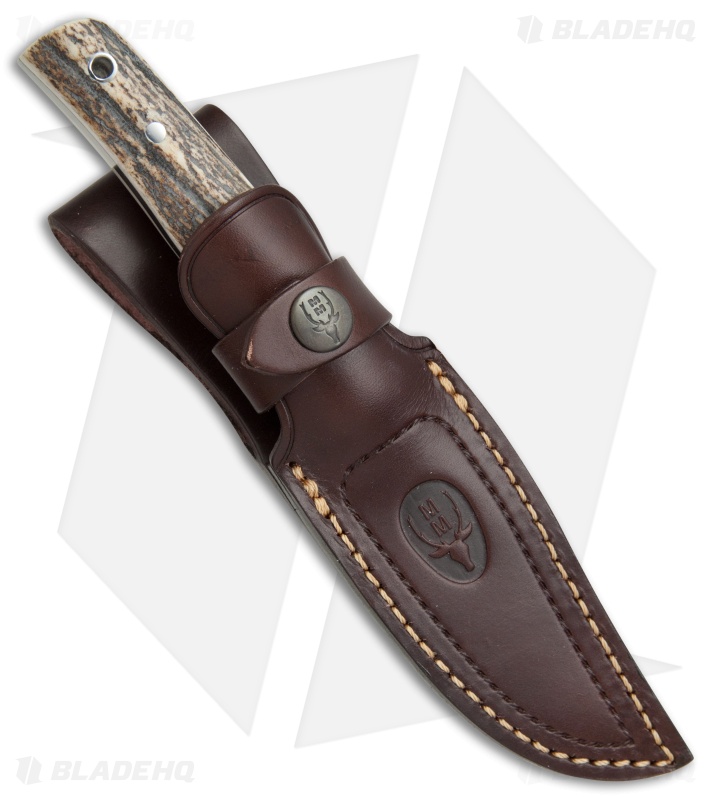 Muela Eagle Fixed Blade Knife Stag Horn (3.75" Satin)