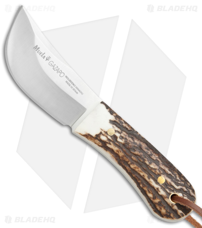 Muela Gazapo Fixed Blade Knife Stag Horn (3" Satin)