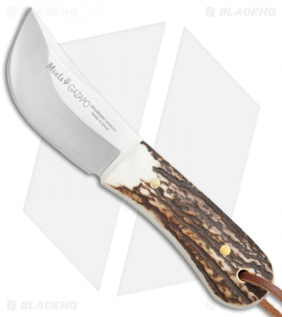 Muela Gazapo Fixed Blade Knife Stag Horn (3" Satin)