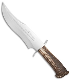 770583907590Muela Lobo Bowie Fixed Blade Knife Crown Stag (9.1&quot; Satin) | 46449