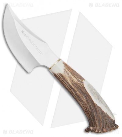 Muela Sabueso Fixed Blade Knife Crown Stag (4.25" Satin)