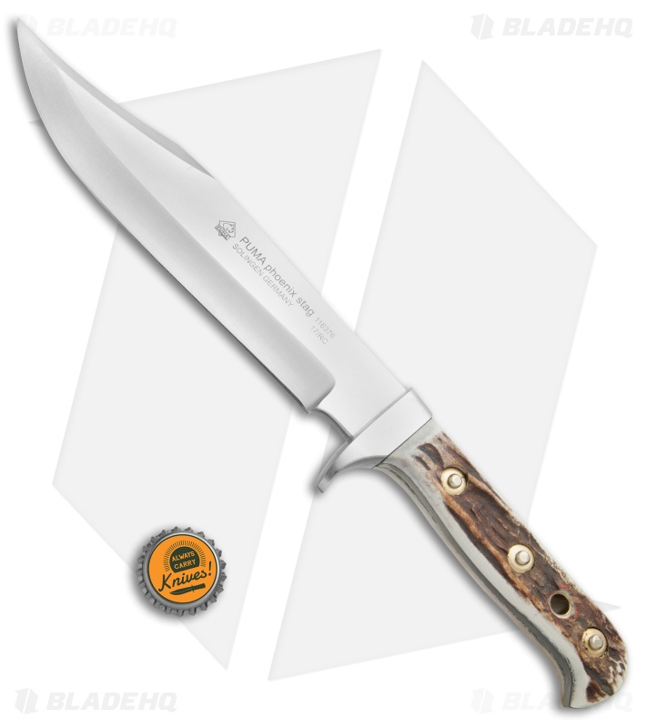 Puma Phoenix Bowie Fixed Blade Knife Stag  (8" Satin) 116376