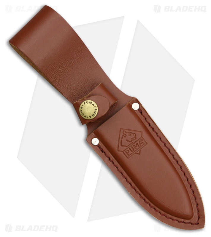 Puma SGB Blacktail Fixed Blade Knife Stag (3.25" Satin) 6530040
