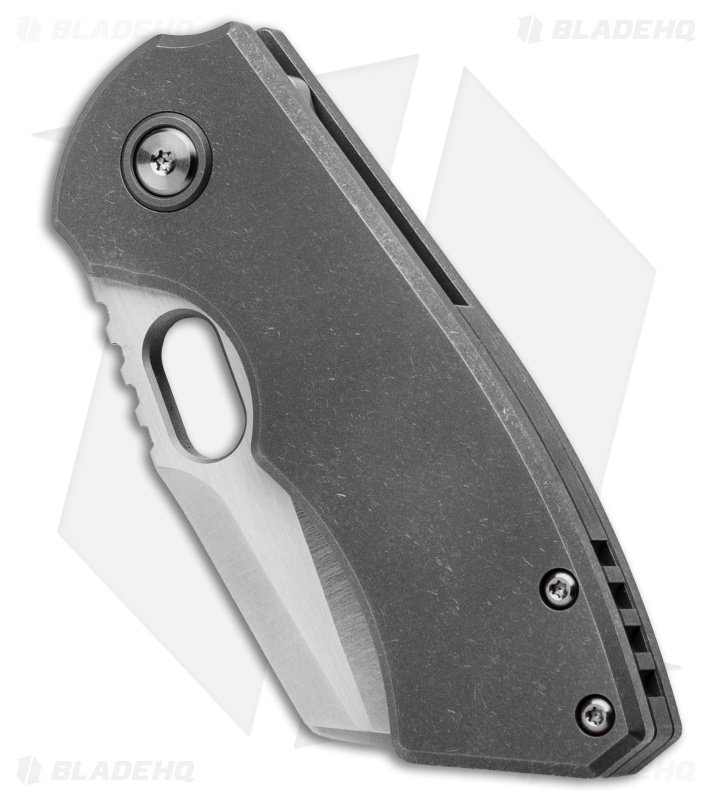 BergBlades Mini Slim Frame Lock Knife Sandblasted + SW Titanium (2.4" Satin)