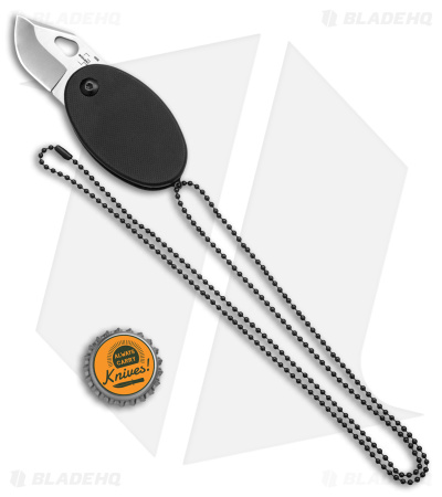 Dog Tag Key Chain, Stainless Steel, 4.25 L