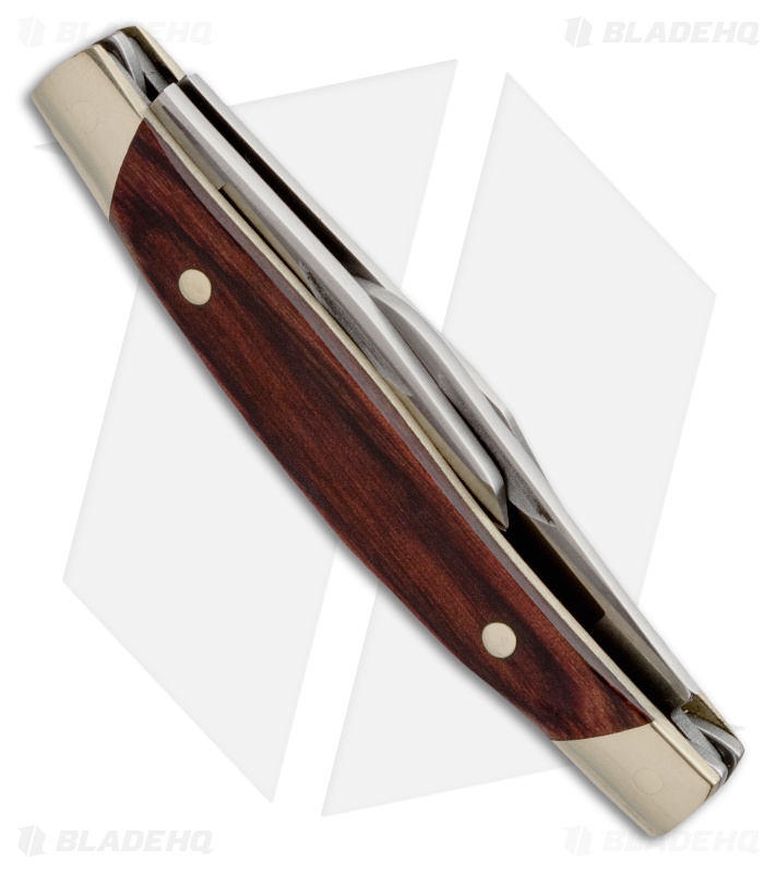 Buck Cadet Knife 3.25" Rosewood Dymondwood 0303RWS