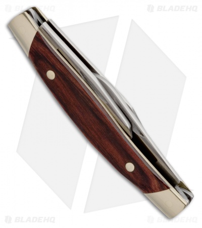 Buck Cadet Knife 3.25" Rosewood Dymondwood 0303RWS