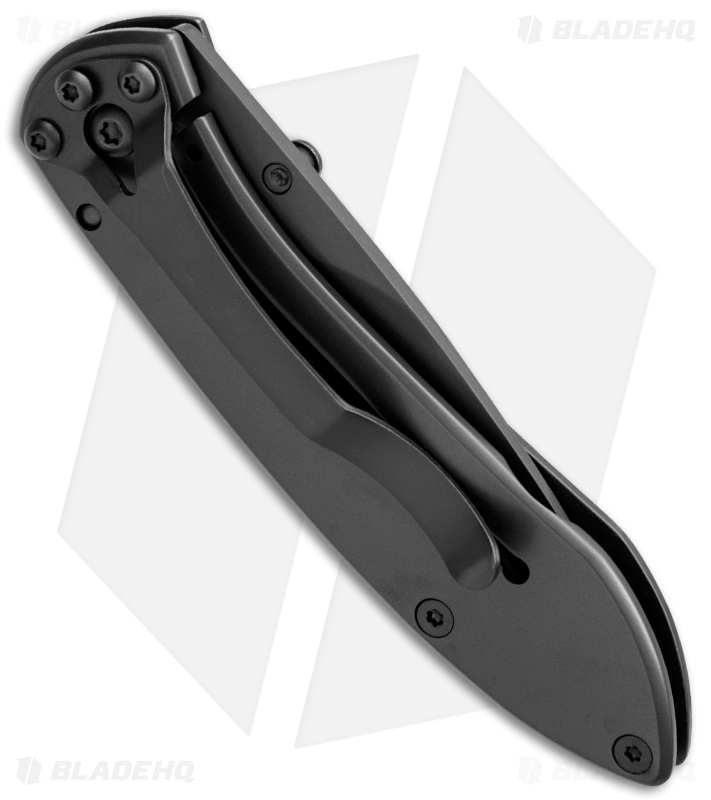 Buck Nobleman Frame Lock Knife Stainless Steel (2.625