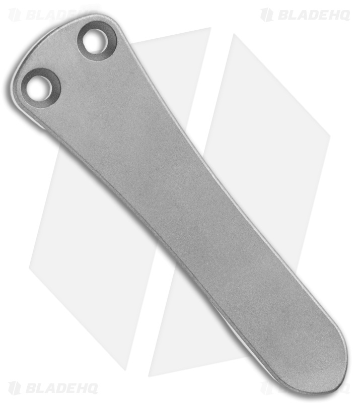 Chaves Scapegoat Street Frame Lock Knife Black G-10  (3.5" Satin)