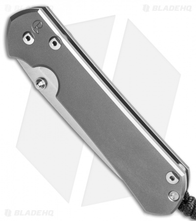 Chris Reeve Large Sebenza 31 Plain Glass Blasted Insingo