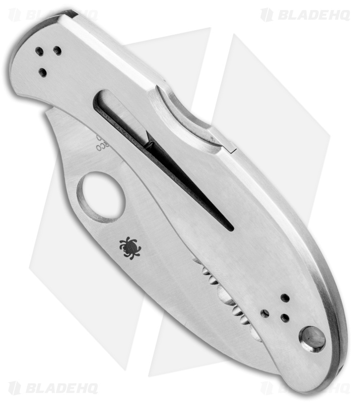 Spyderco Harpy Lockback Knife Stainless Steel (2.75