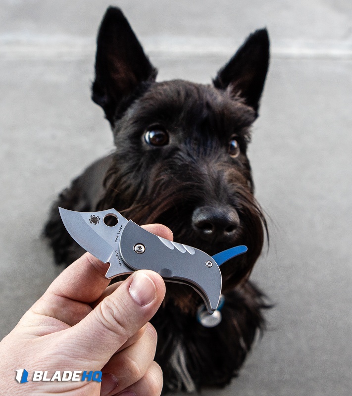 Spyderco Pochi Frame Lock Knife Titanium (1.56