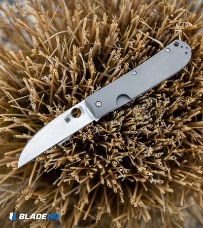 Spyderco SwayBack Frame Lock Knife (3.53" Stonewash XHP) C249TIP