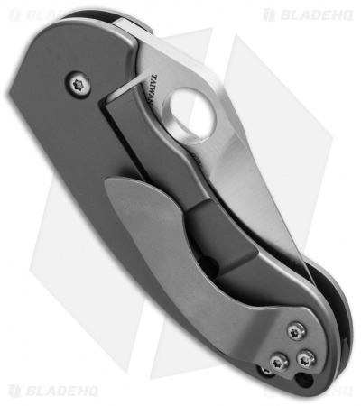Spyderco Burch Chubby Frame Lock Knife Titanium (2.3" Satin) C183TIP
