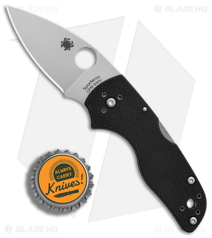 Spyderco  Lil' Native Lockback Knife (2.5" Satin) C230MBGP