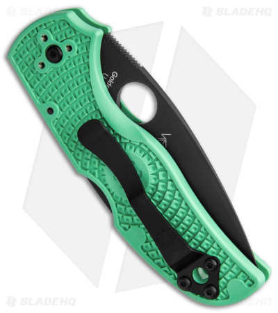 Spyderco Native 5 Exclusive M4 LW Lockback Knife Mint Green FRN (3" Black)