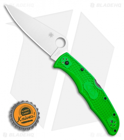 Spyderco Pacific Salt 2 Lockback Knife Green FRN (3.4" Satin LC200N) C91FPGR2