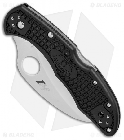 Spyderco Tasman Salt 2 Lock Back Knife Black FRN (2.8" Satin Full Serr) C106SBK2