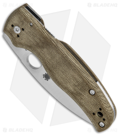 Spyderco Shaman Green Canvas Micarta Knife  (3.6" Satin M4) C229MPM4