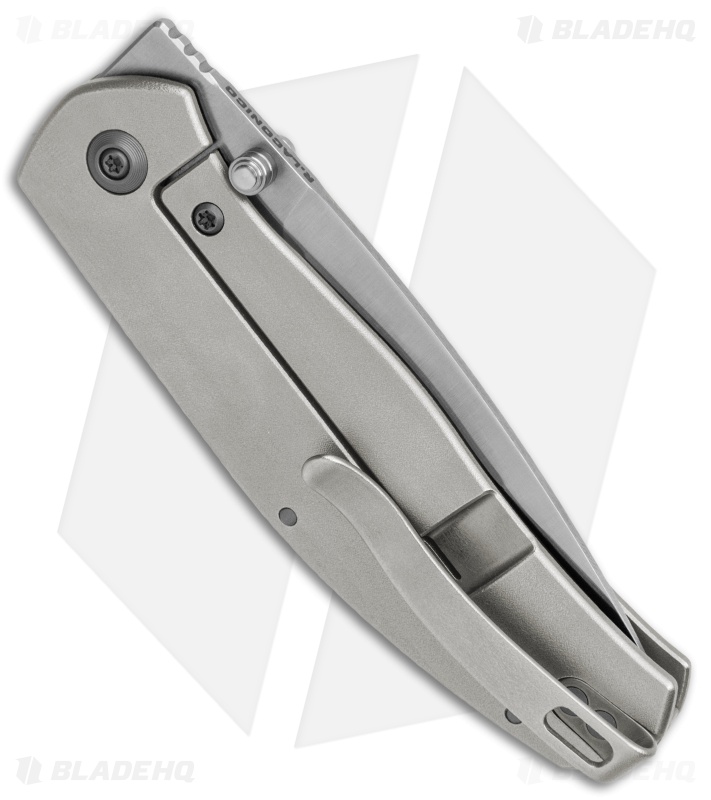 WE Knife Co. Esprit Frame Lock Knife Textured Titanium (3.25" Satin) 