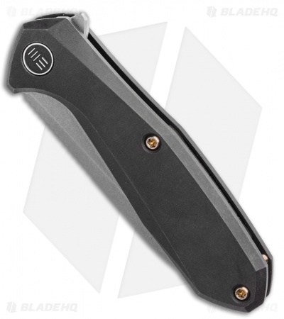WE Knife Co. Mote Frame Lock Knife Black Titanium (2.6" BB/SW) 2005C