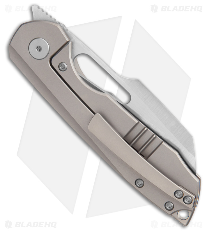 ビカクシダ sparrow Sparrow ビカクシダ 2株セット Sparrow ビカクシダ 2株セット Sparrow